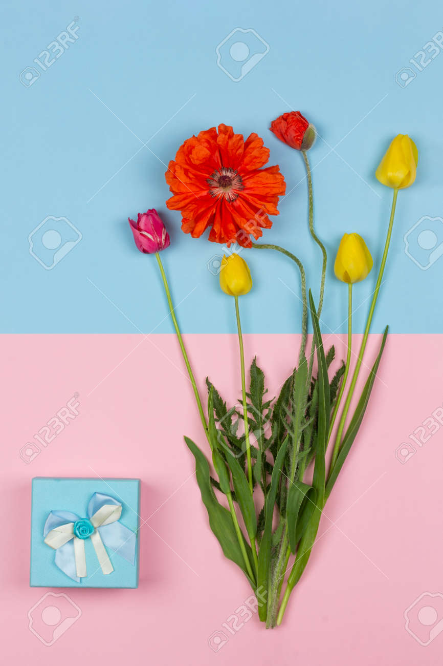 bouquet of flowers of yellow and red tulips and red poppy and a blue box with a gift on a pink and blue background top view - 165439615 bouquet of flowers of yellow and red tulips and red poppy and a blue box with a gift on a pink and blue background top view - 165439615
