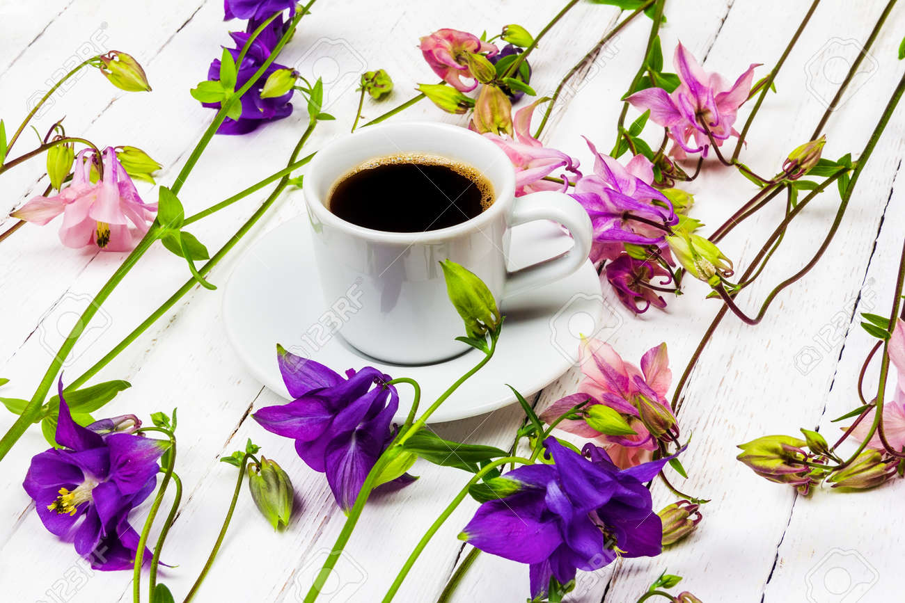 coffee cup on a white wooden table with pink and blue aquilegia flowers - 169308593 coffee cup on a white wooden table with pink and blue aquilegia flowers - 169308593