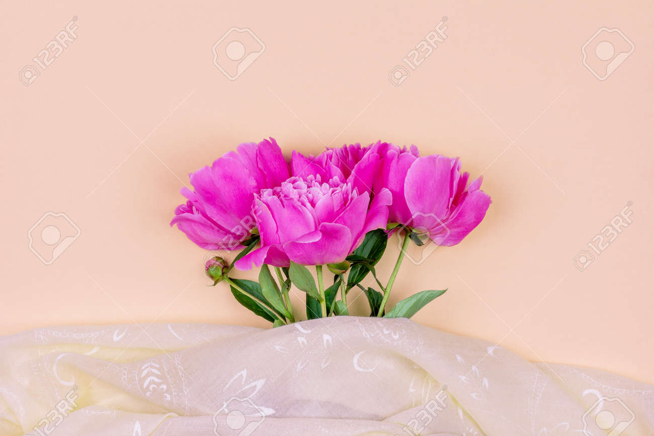 Bouquet of dark pink peony flowers close up and pink fabric on sand color background - 169308565 Bouquet of dark pink peony flowers close up and pink fabric on sand color background - 169308565