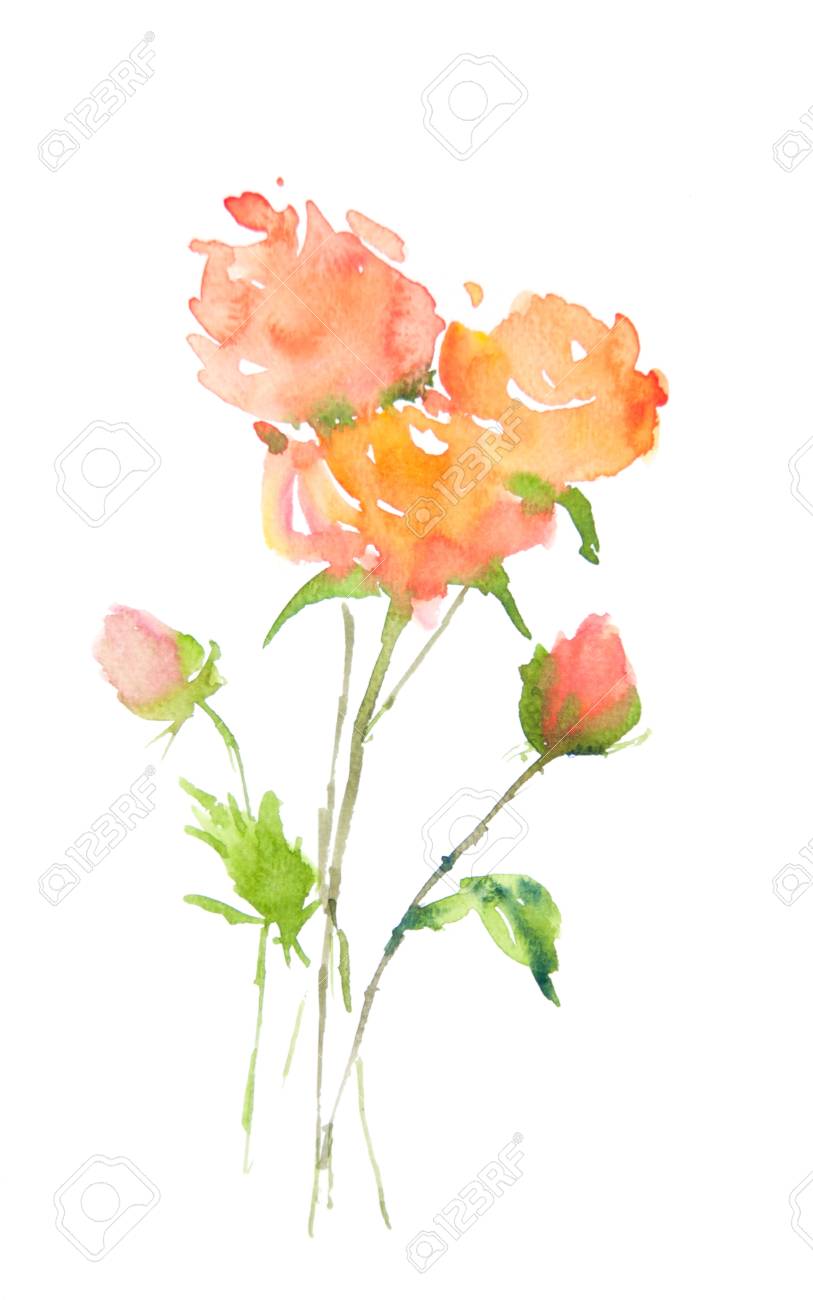 白 水彩イラストレーターに美しいバラの花 の写真素材 画像素材 Image