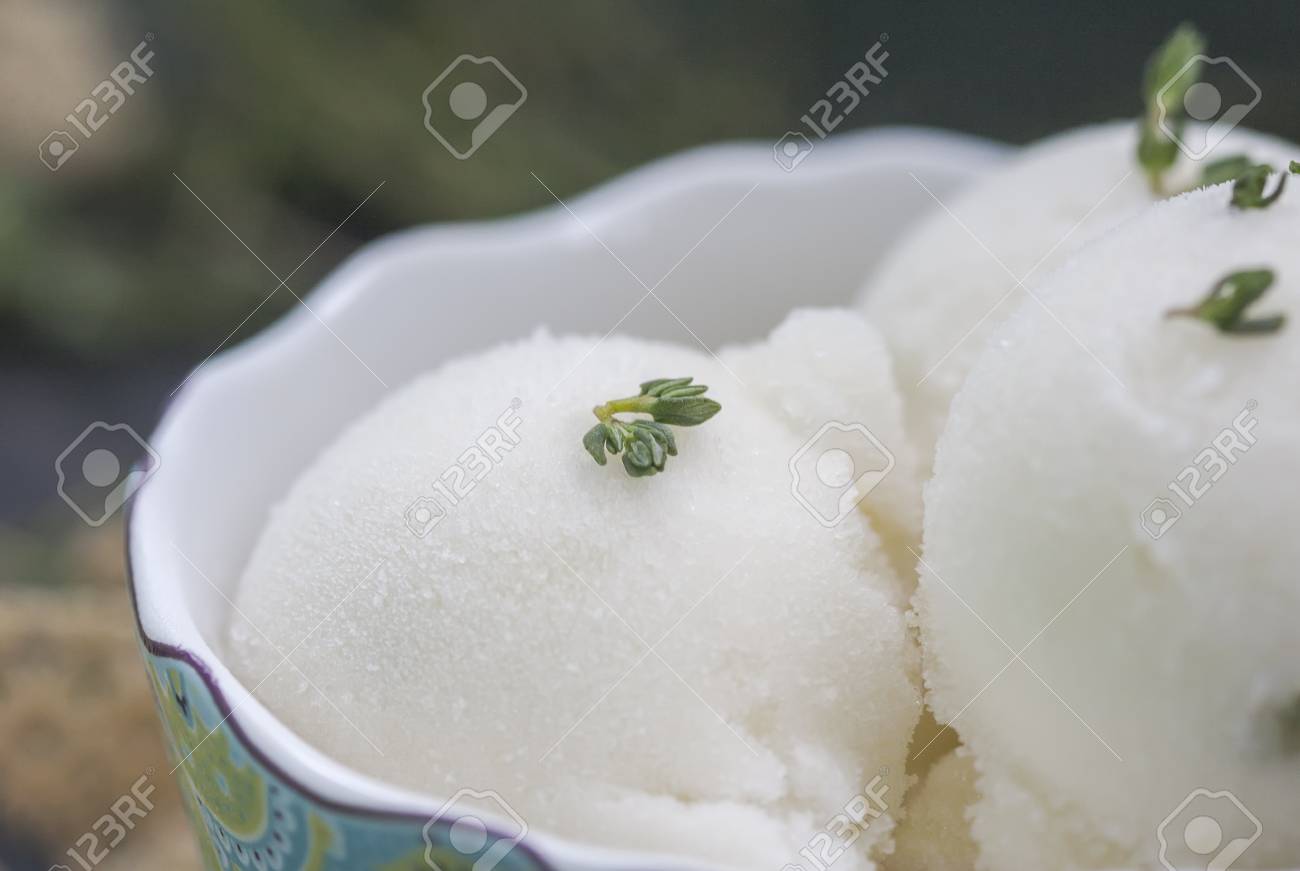 アイスクリーム シャーベット さわやかな夏のダイエット デザート 選択と集中 の写真素材 画像素材 Image