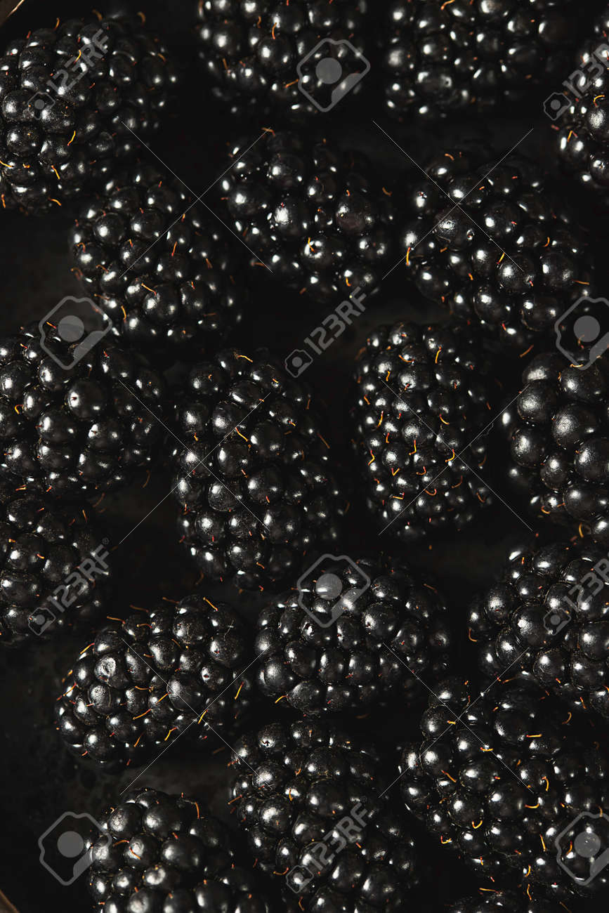 Fresh ripe blackberries as background, top view. Food concept. Blackberries decorated with edible gold powder. Top view. - 171890455 Fresh ripe blackberries as background, top view. Food concept. Blackberries decorated with edible gold powder. Top view. - 171890455