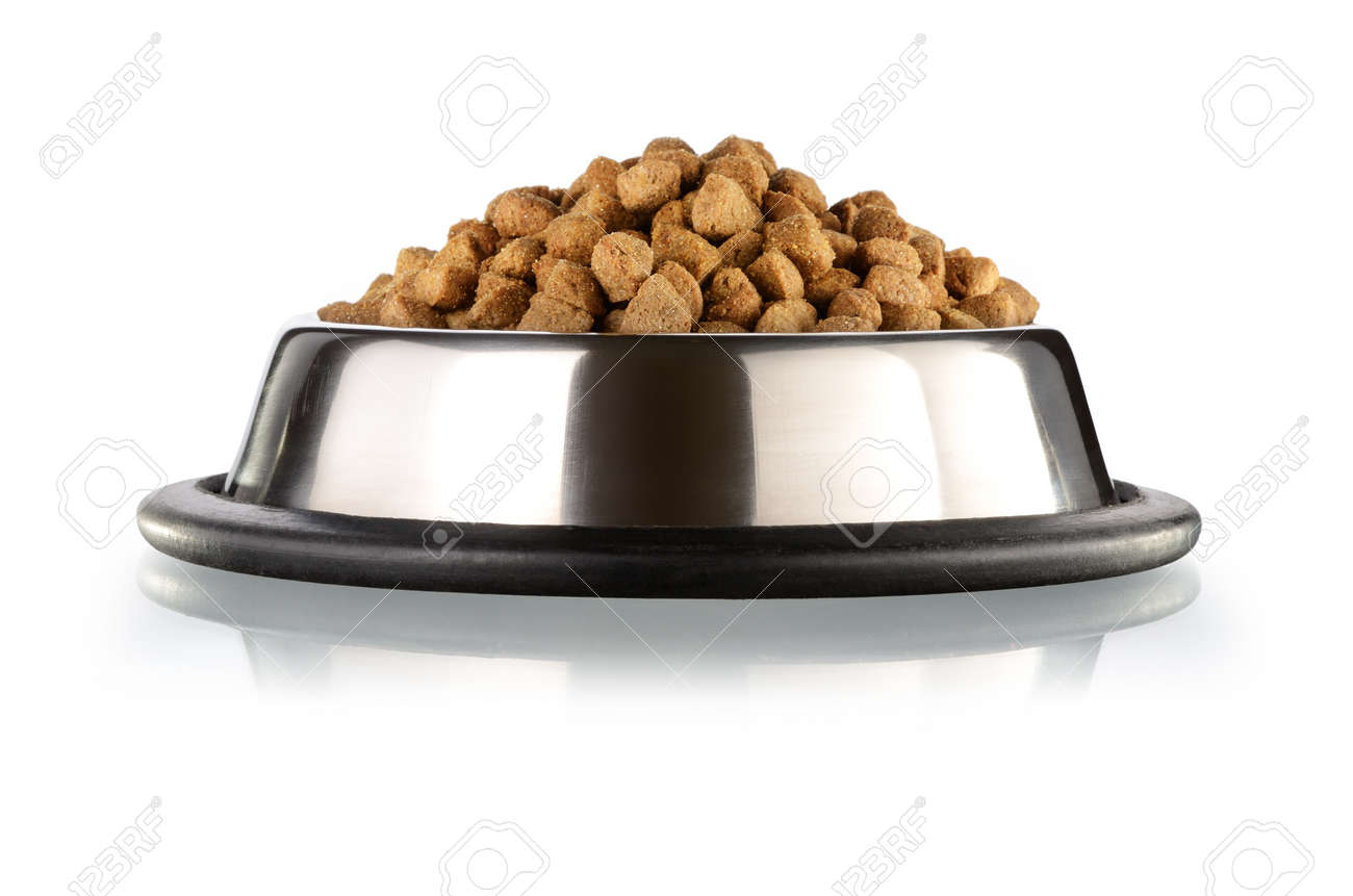 Cats And Dogs Dry Food In The Stainless Steel Bowl Stock Photo Picture And Royalty Free Image Image 19847407