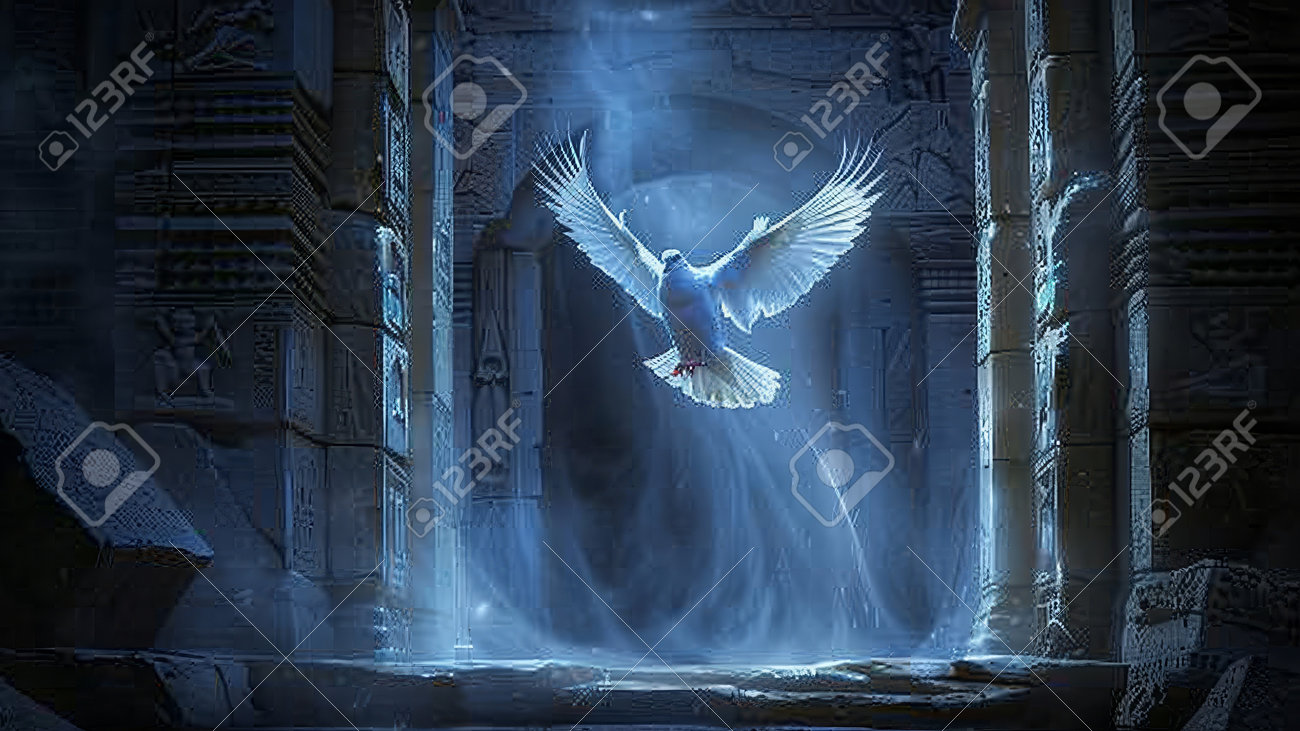 etiam-dictum-ipsum-a-felis