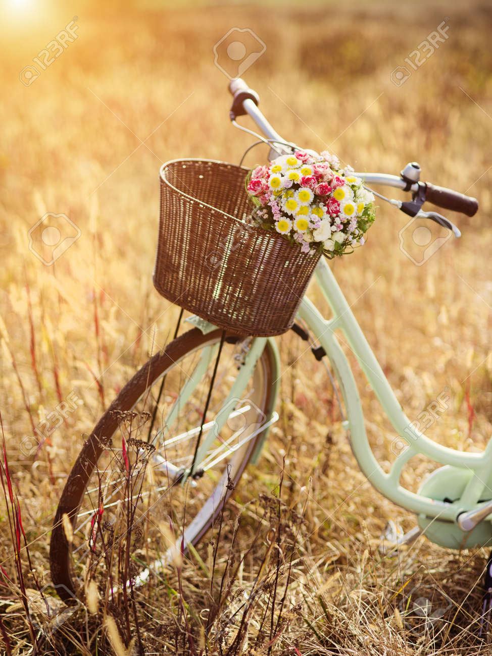 vintage bike with flowers