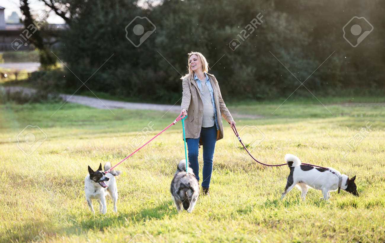 緑の日当たりの良い自然の中の 3 匹の犬との散歩に美しい若い妊婦 の写真素材 画像素材 Image 緑の日当たりの良い自然の中の 3 匹の犬との散歩に美しい若い妊婦 の写真素材 画像素材 Image