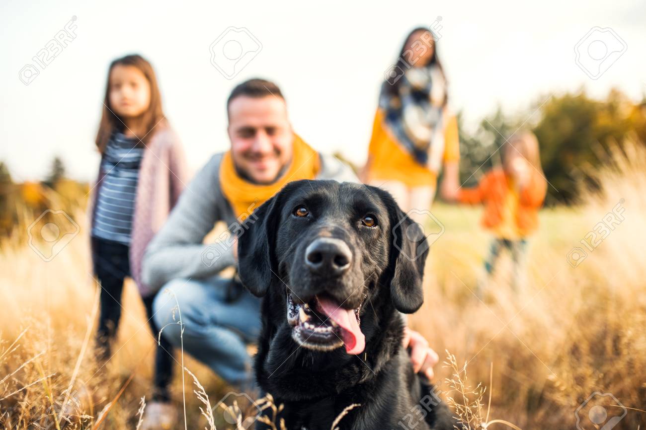 A young family with two small children and a dog on a meadow in autumn nature. - 112561503 A young family with two small children and a dog on a meadow in autumn nature. - 112561503