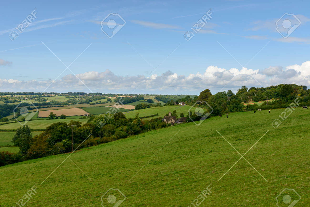 ウィルトシャー州 ロンドン 放牧牛と牧草地と田園風景の景観ウィルトシャー郊外 の写真素材 画像素材 Image 3364