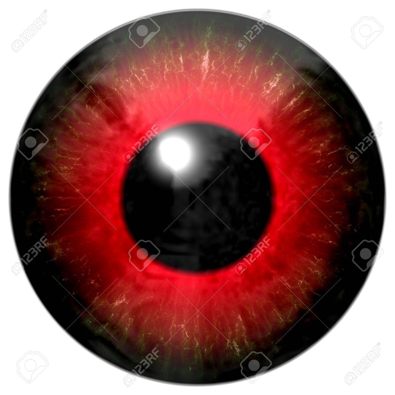 Illustration Of A Red Eye With Light Reflection On A White Background Stock Photo Picture And Royalty Free Image Image