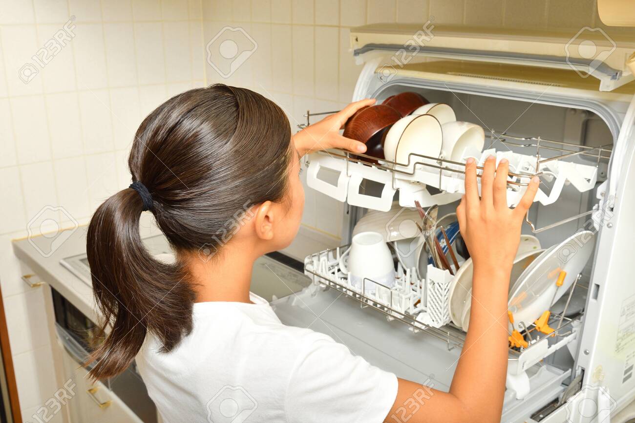 japanese dishwasher