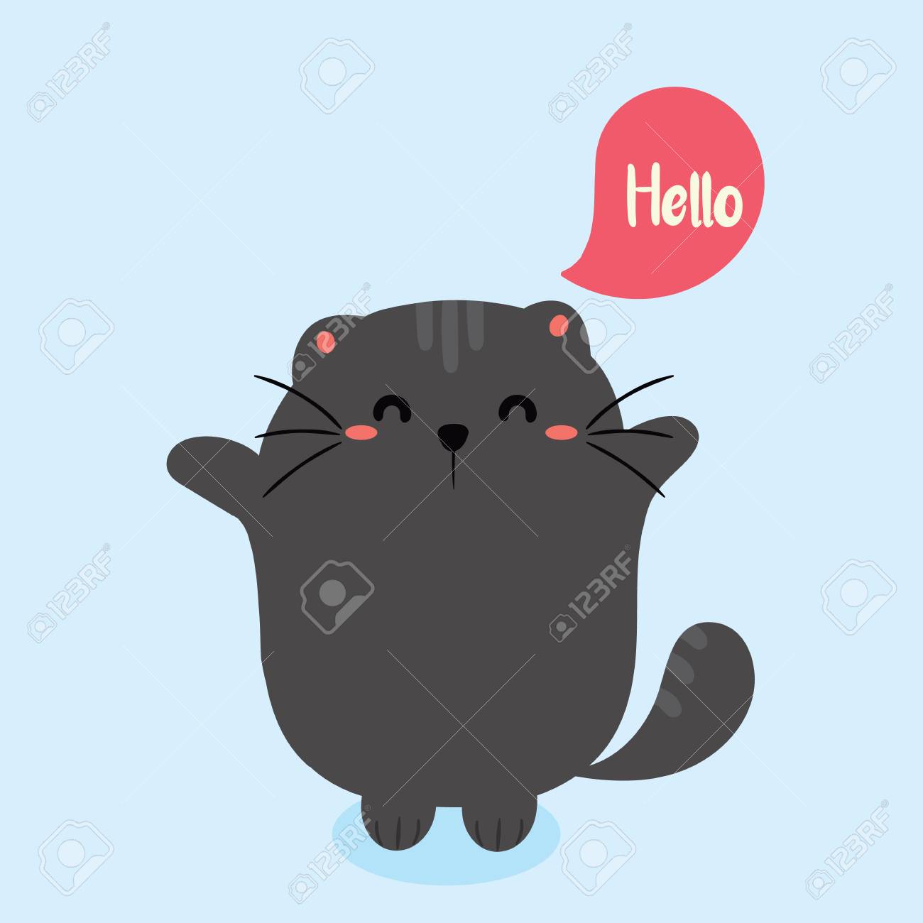 hola gatito