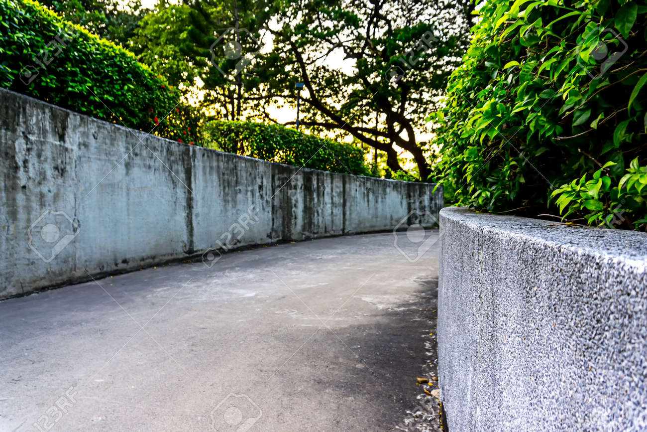 curve walk path way
