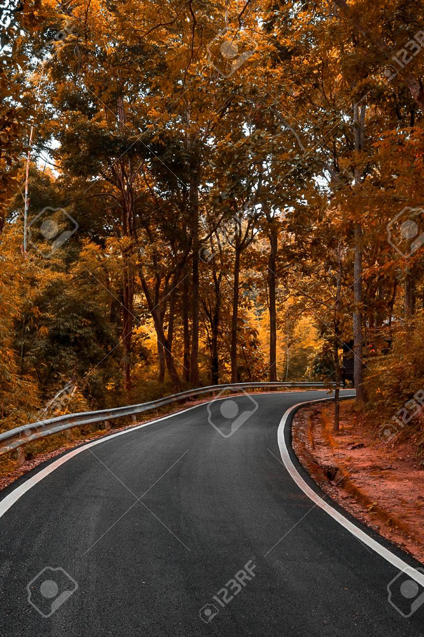Curave Empty Road Drive In To The Autumn Forest Background Surreal Stock Photo Picture And Royalty Free Image Image