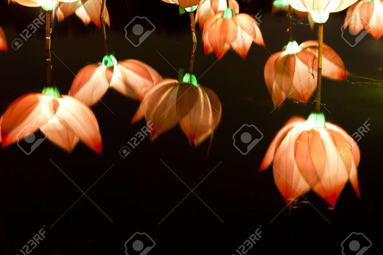 etiam-dictum-ipsum-a-felis