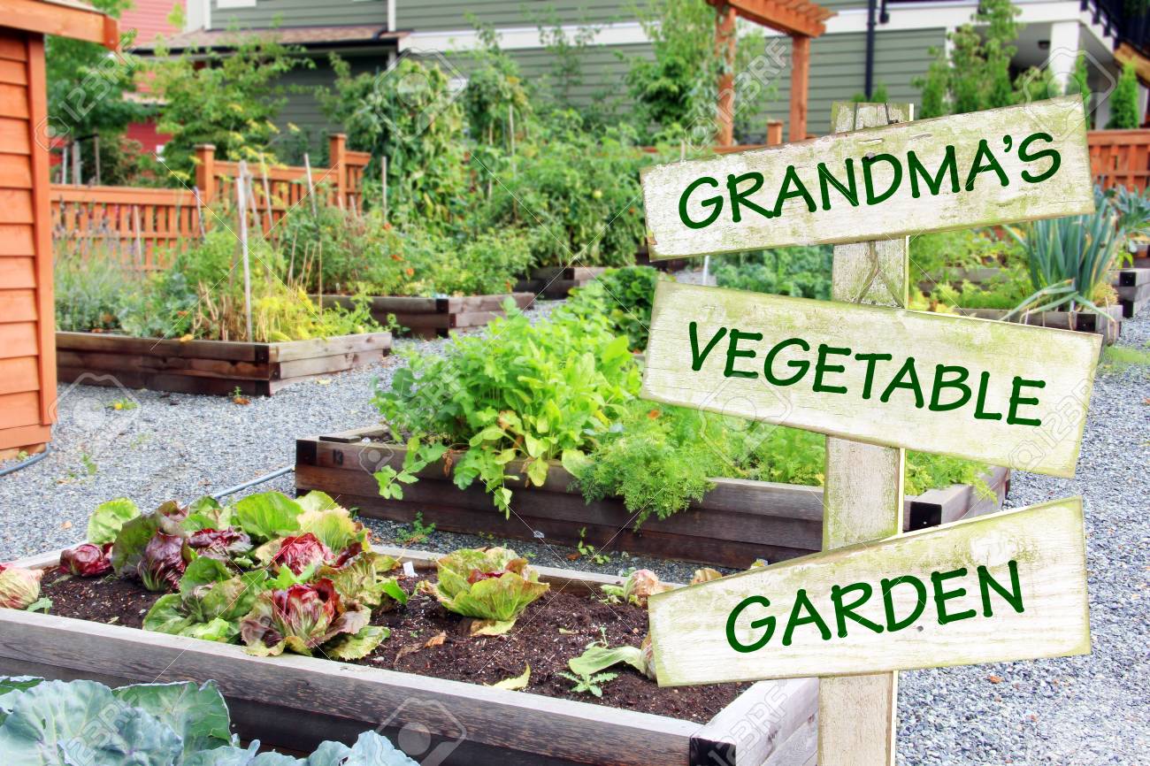 We all want to eat fresh, local produce…