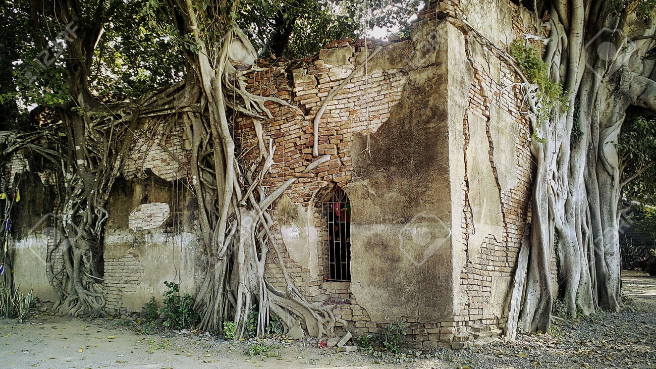 etiam-dictum-ipsum-a-felis