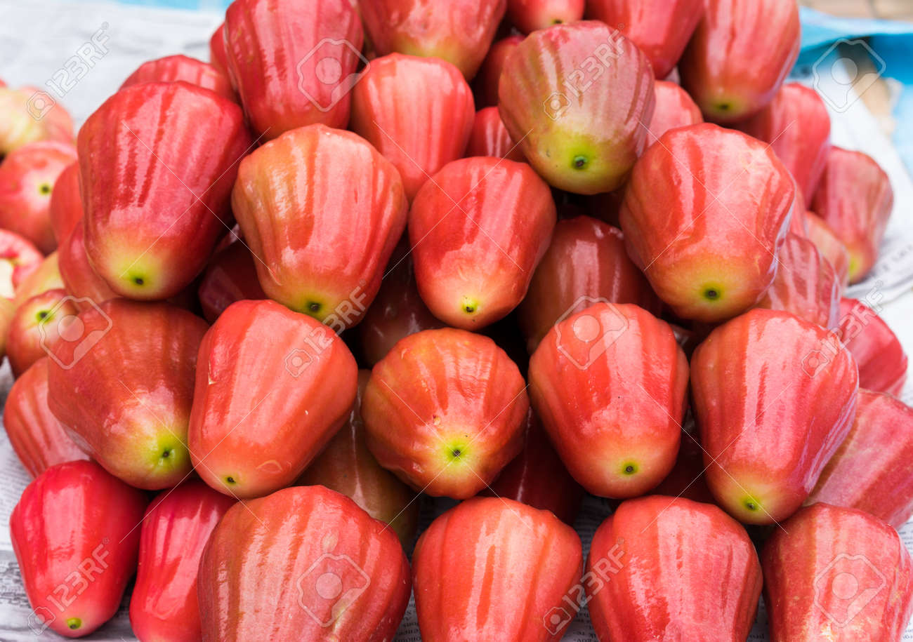 Rose Apple Tropical Fruit Displayed At Vinh Long Fruit Market Stock Photo Picture And Royalty Free Image Image