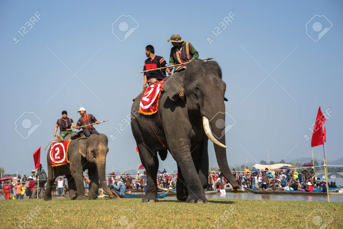 Dak Lak Vietnam 12 Mars 2017 Festival De Courses D Elephants Au Lac Lak A Dak Lak Centre Des Montagnes Du Vietnam Banque D Images Et Photos Libres De Droits Image 93292889