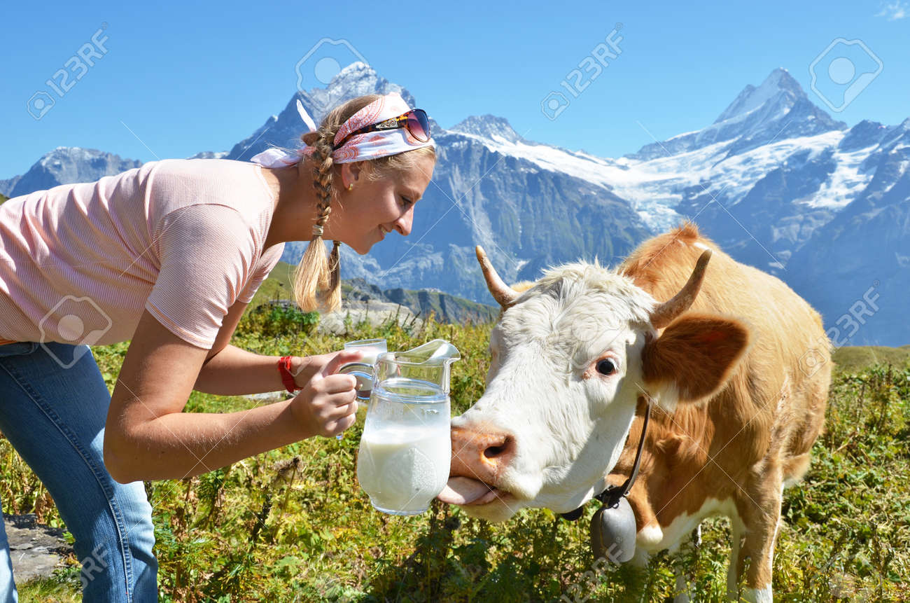 ミルクと牛の水差しを持つ少女 ユングフラウ地方 スイス の写真素材 画像素材 Image