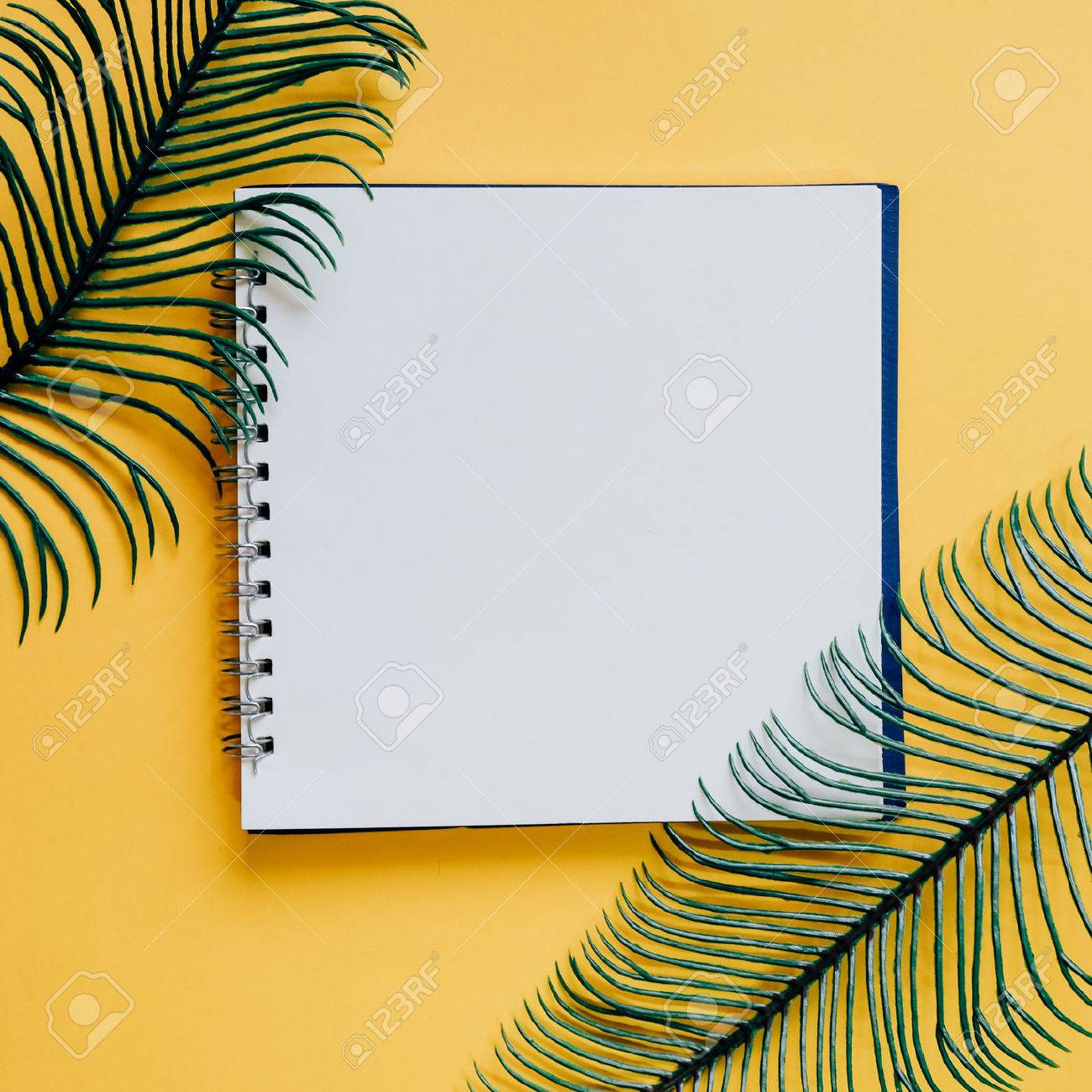 flat lay of minimal