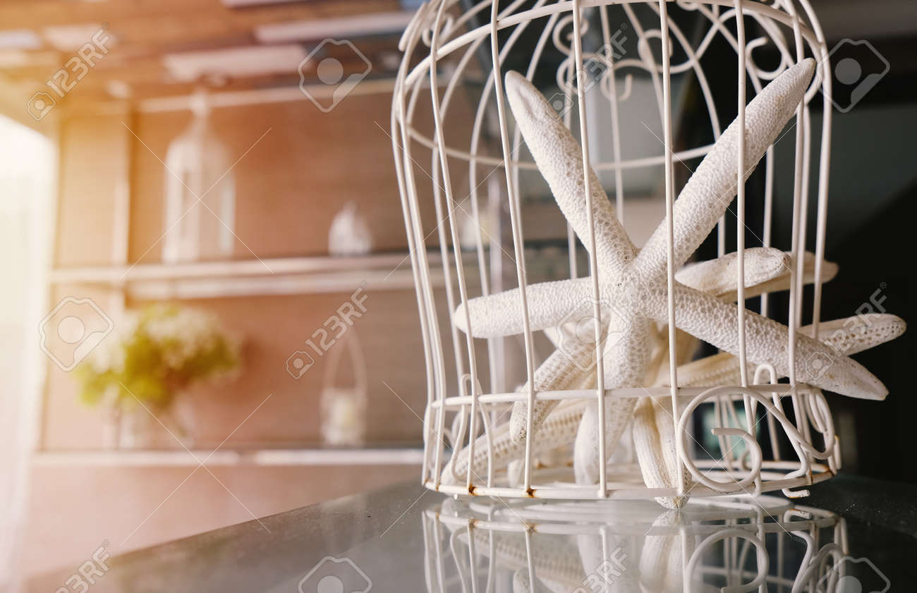 Get Decoracio destrelles de mar For Android Decoracio Destrelles De Mar