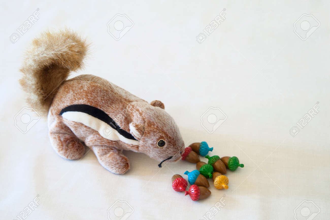 squirrel doll