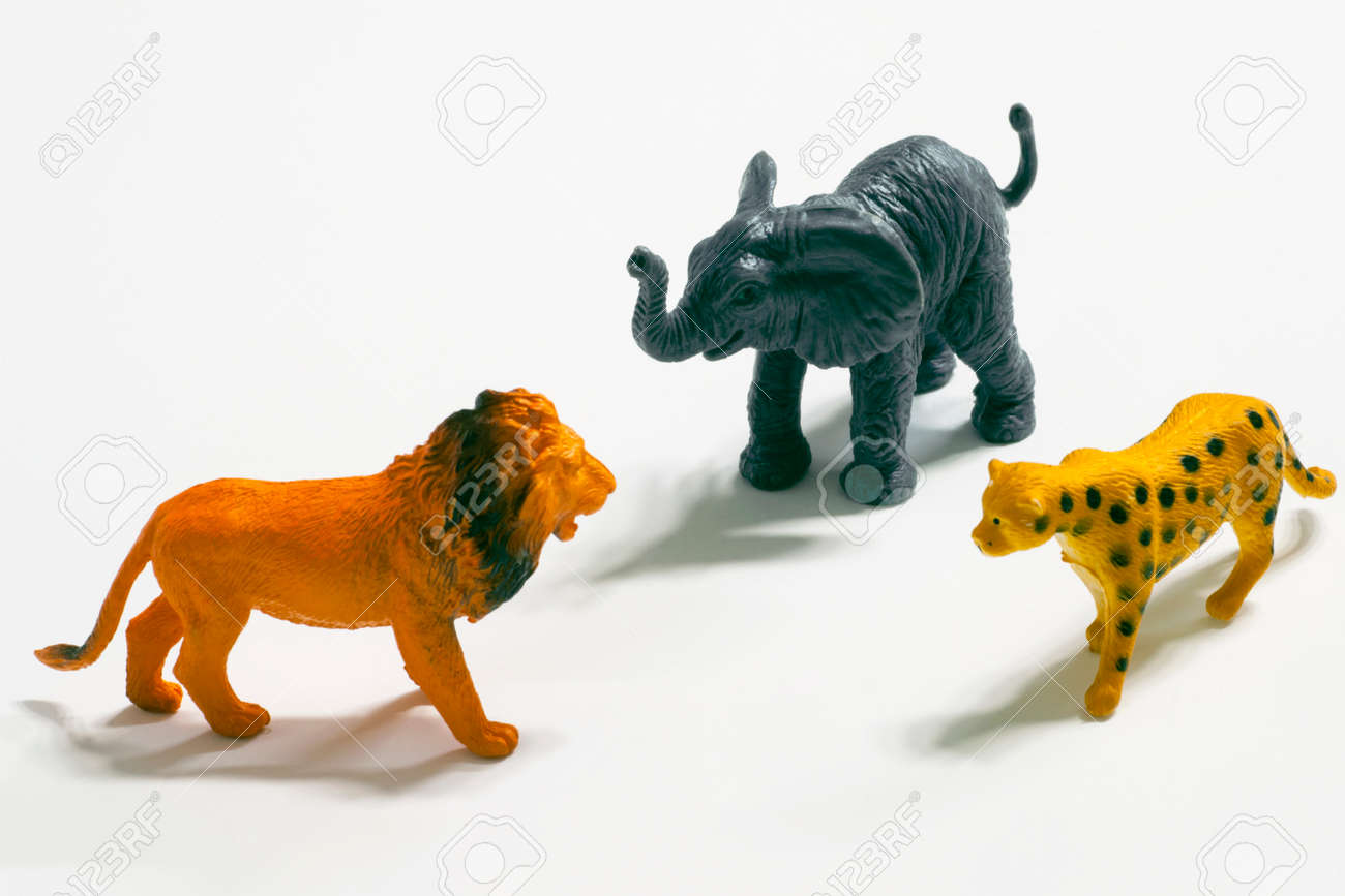 etiam-dictum-ipsum-a-felis