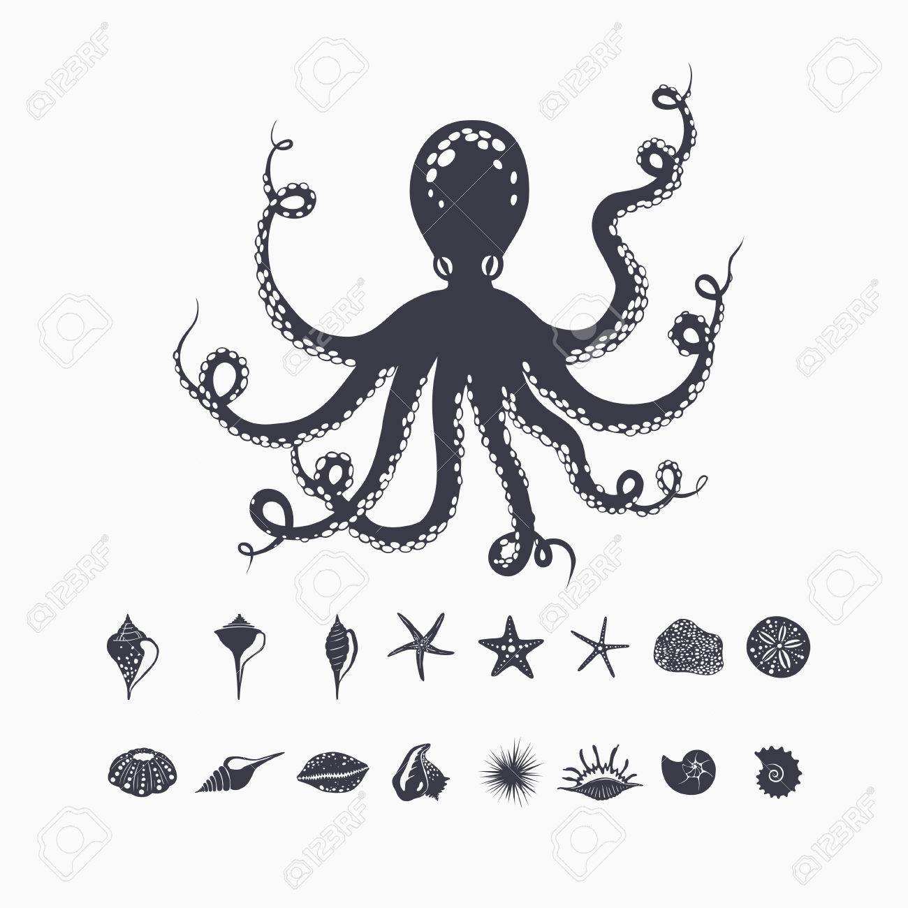 白地では 分離されたタコを海の生き物 貝 ヒトデ ベクトル海洋図の設定のイラスト素材 ベクタ Image