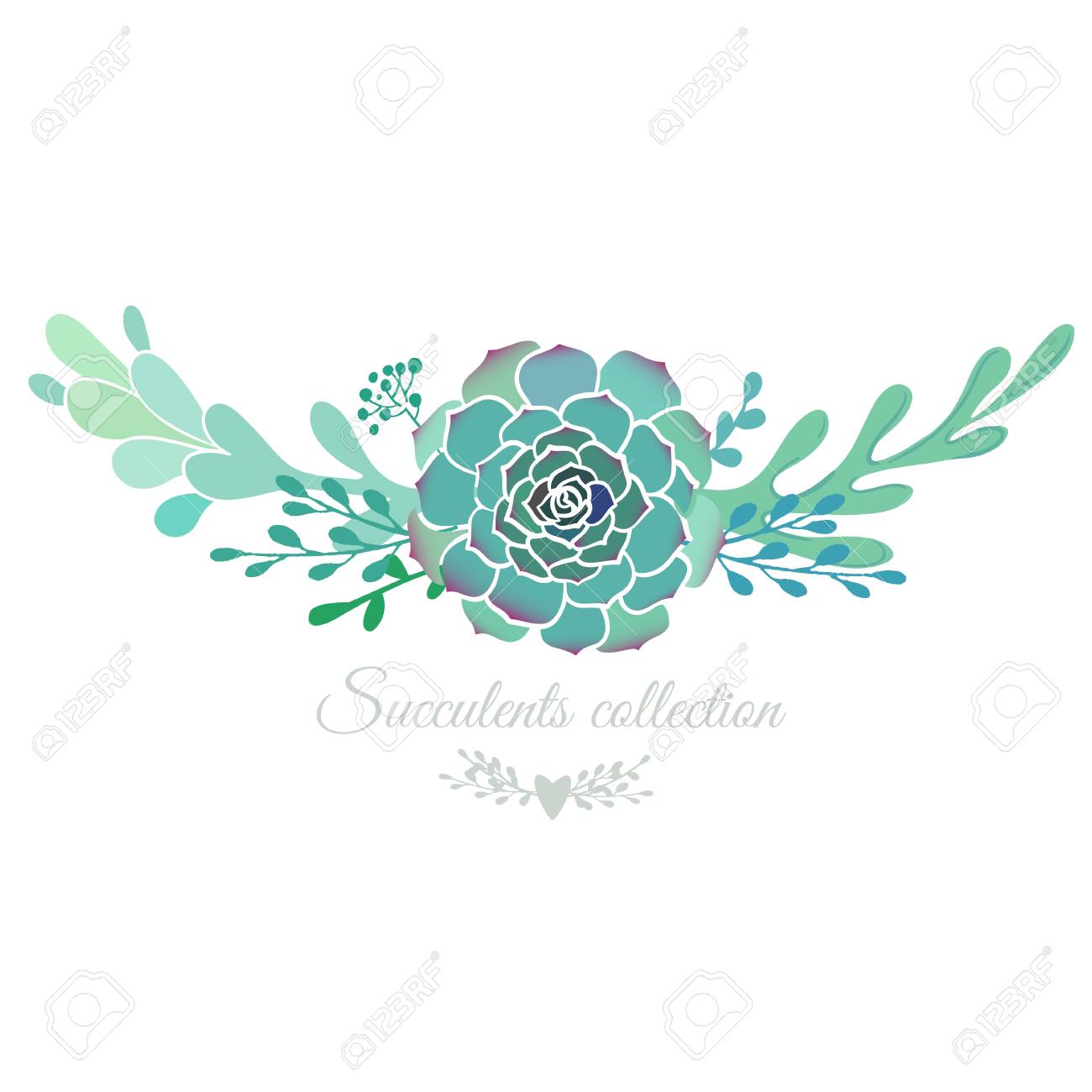 Vector Floral Border With Succulents Isolated On White, Wedding Template.  Royalty Free SVG, Cliparts, Vectors, and Stock Illustration. Image 72209608., image size:1300x1300