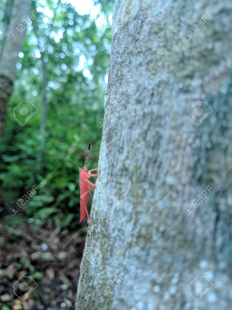 etiam-dictum-ipsum-a-felis