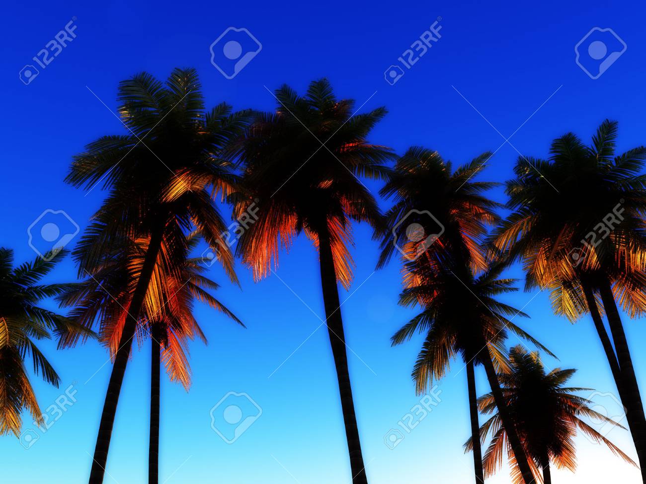 快晴の熱帯日光の空に対していくつかのヤシの木のイメージ それは良い概念イメージ トロピカルな休日を表すつもりでしょう の写真素材 画像素材 Image