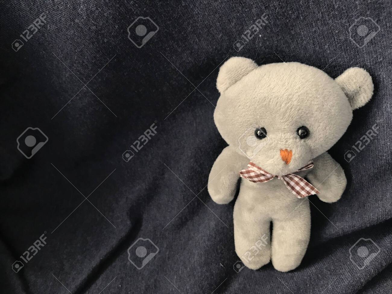 navy blue teddy
