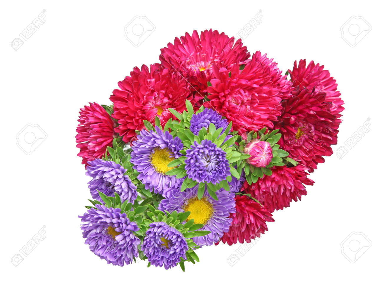 アスターの花束 の写真素材 画像素材 Image 8410