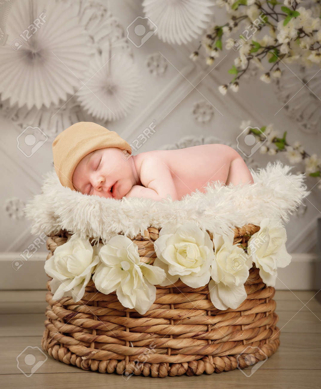 newborn baby in basket