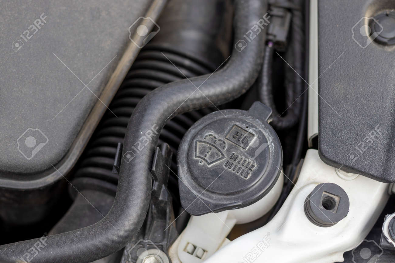 etiam-dictum-ipsum-a-felis