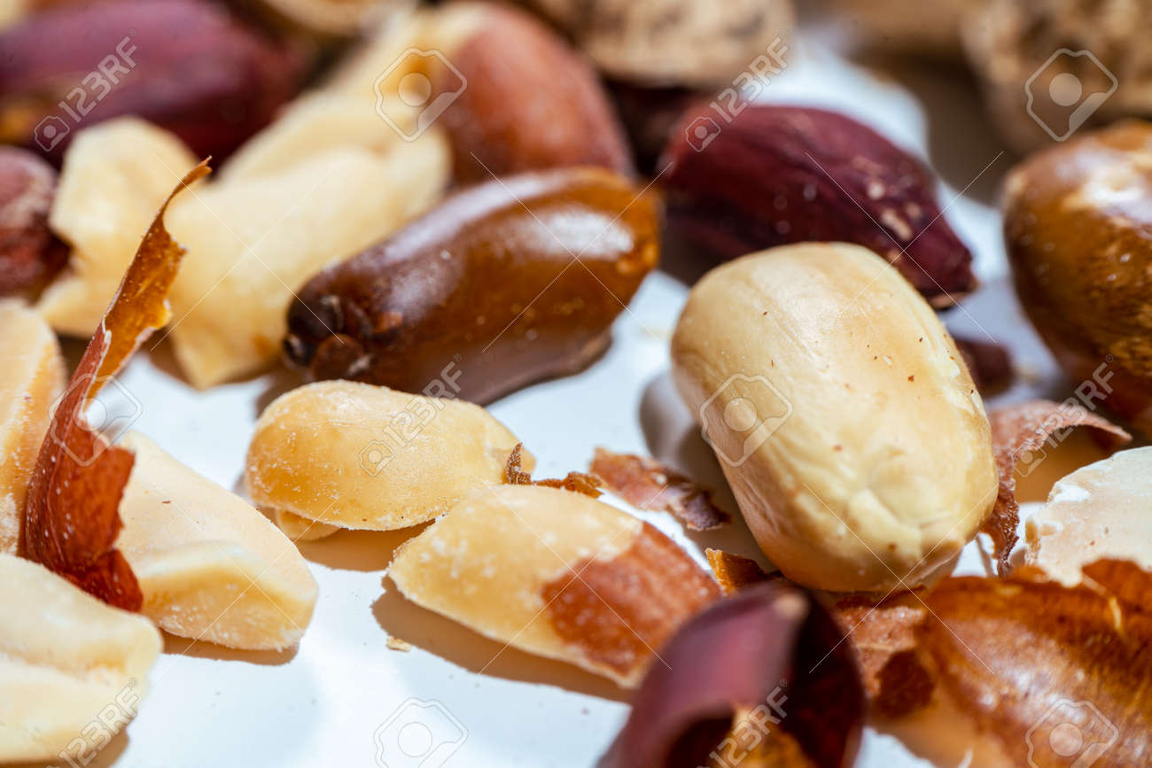 etiam-dictum-ipsum-a-felis