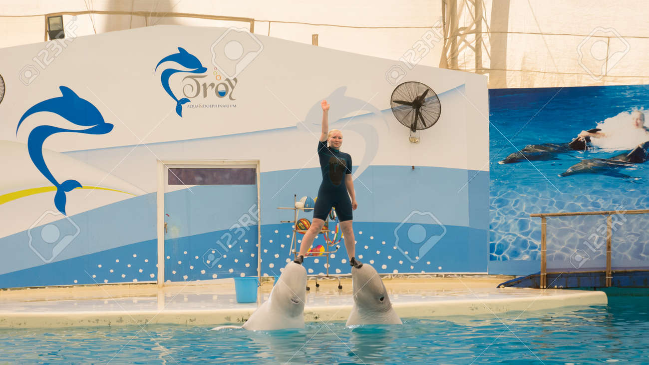 ベレキ トルコ 14 年 10 月 4 日 イルカのショー トロイのイルカ水族館 2 つのシロイルカのクジラの驚くべきトリックを表示します の写真素材 画像素材 Image