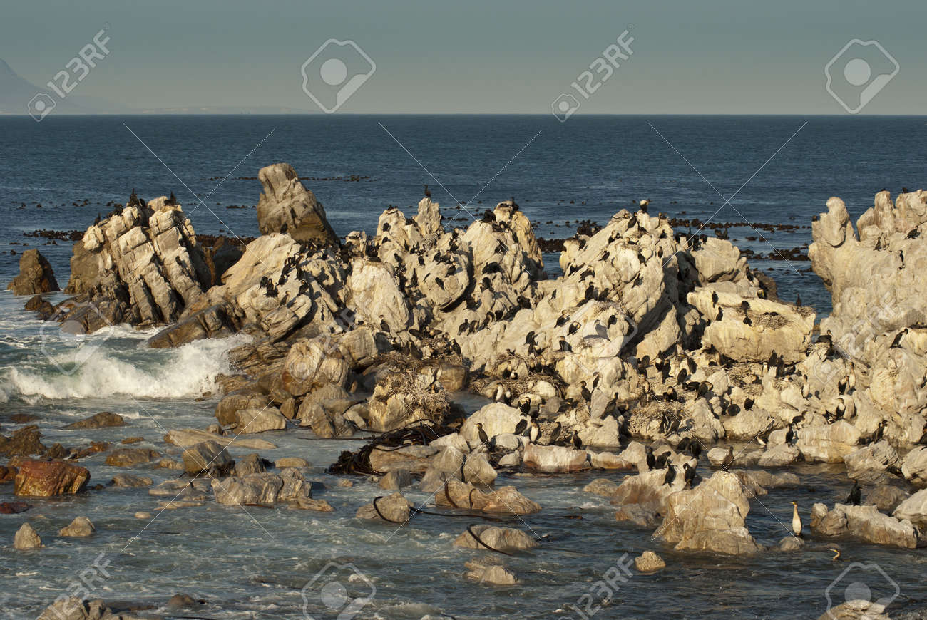 The Sea Around Them