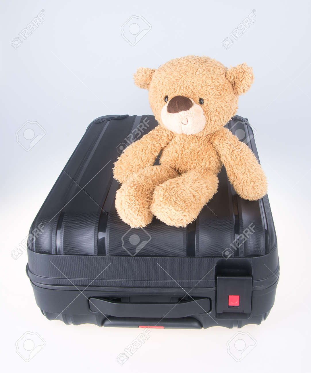 teddy bear luggage