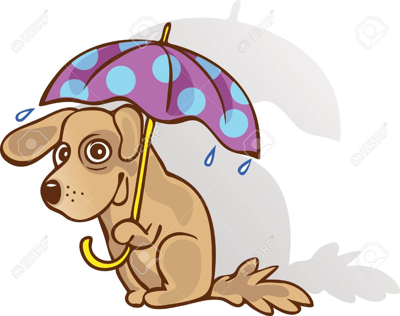 dog under umbrella