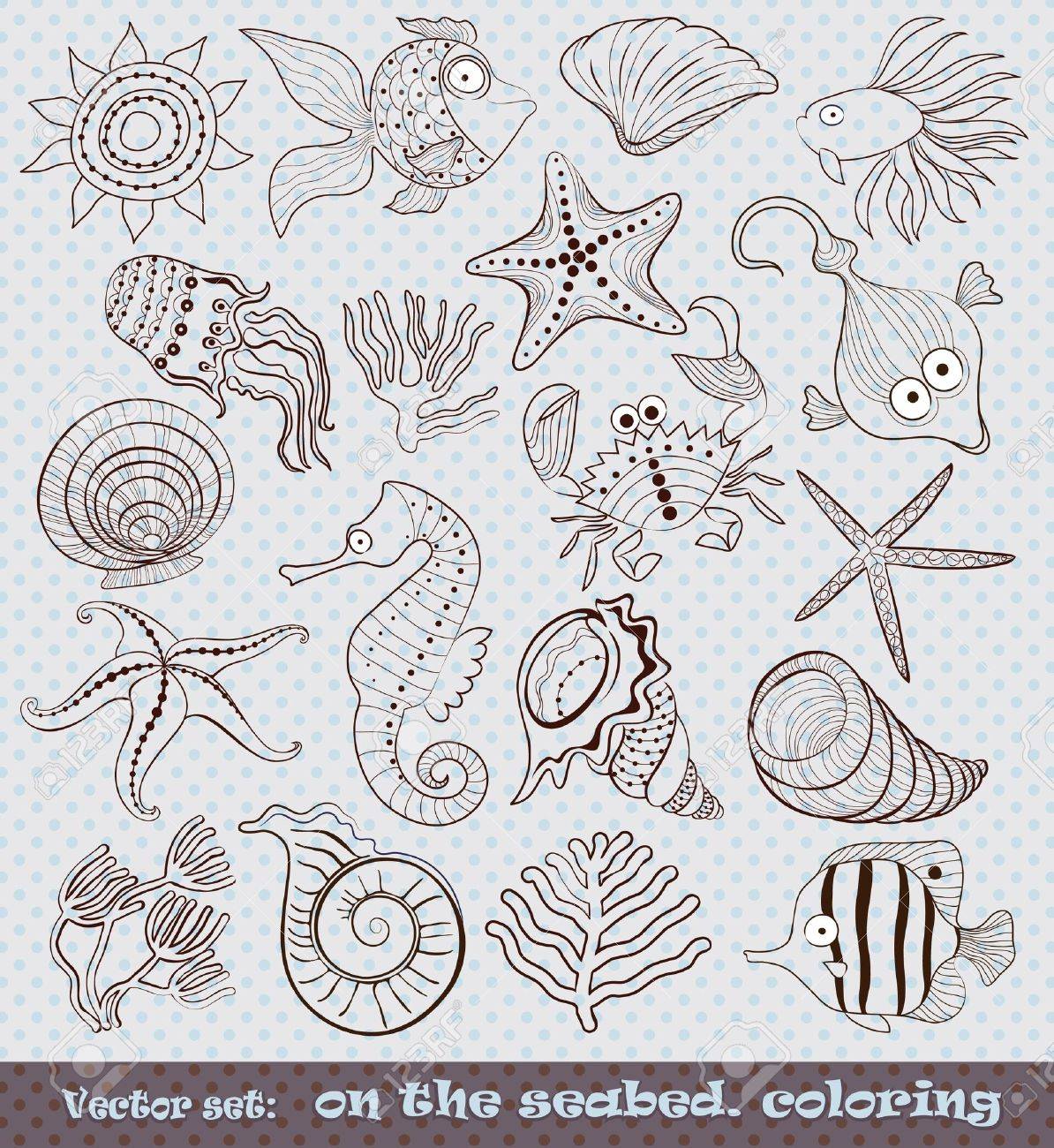 A Set Of Animated Inhabitants Of The Sea Floor Outline Drawing Royalty Free Cliparts Vectors And Stock Illustration Image 13464711 A Set Of Animated Inhabitants Of The Sea Floor Outline Drawing Royalty Free Cliparts Vectors And Stock Illustration Image 13464711
