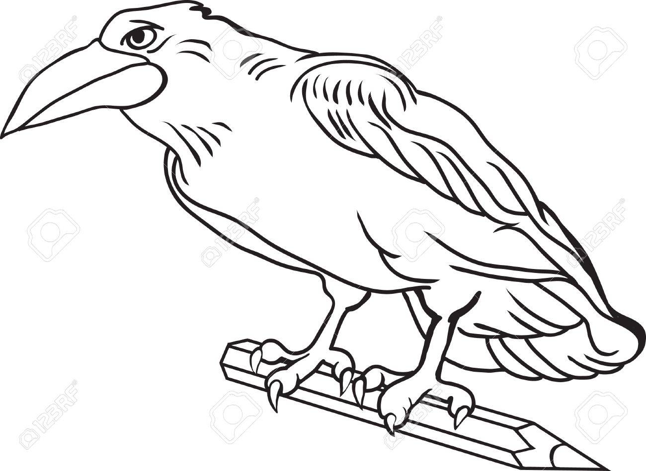 drawn crow easy pencil and home water pump cost diagram universal 17754272 contour drawing crow bird