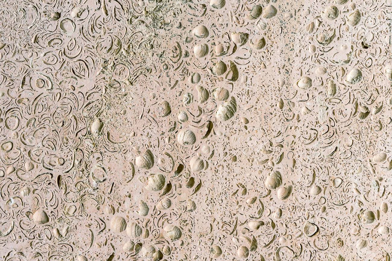 Abstract Background Of Coquina Stone Facing Of Wall Stone