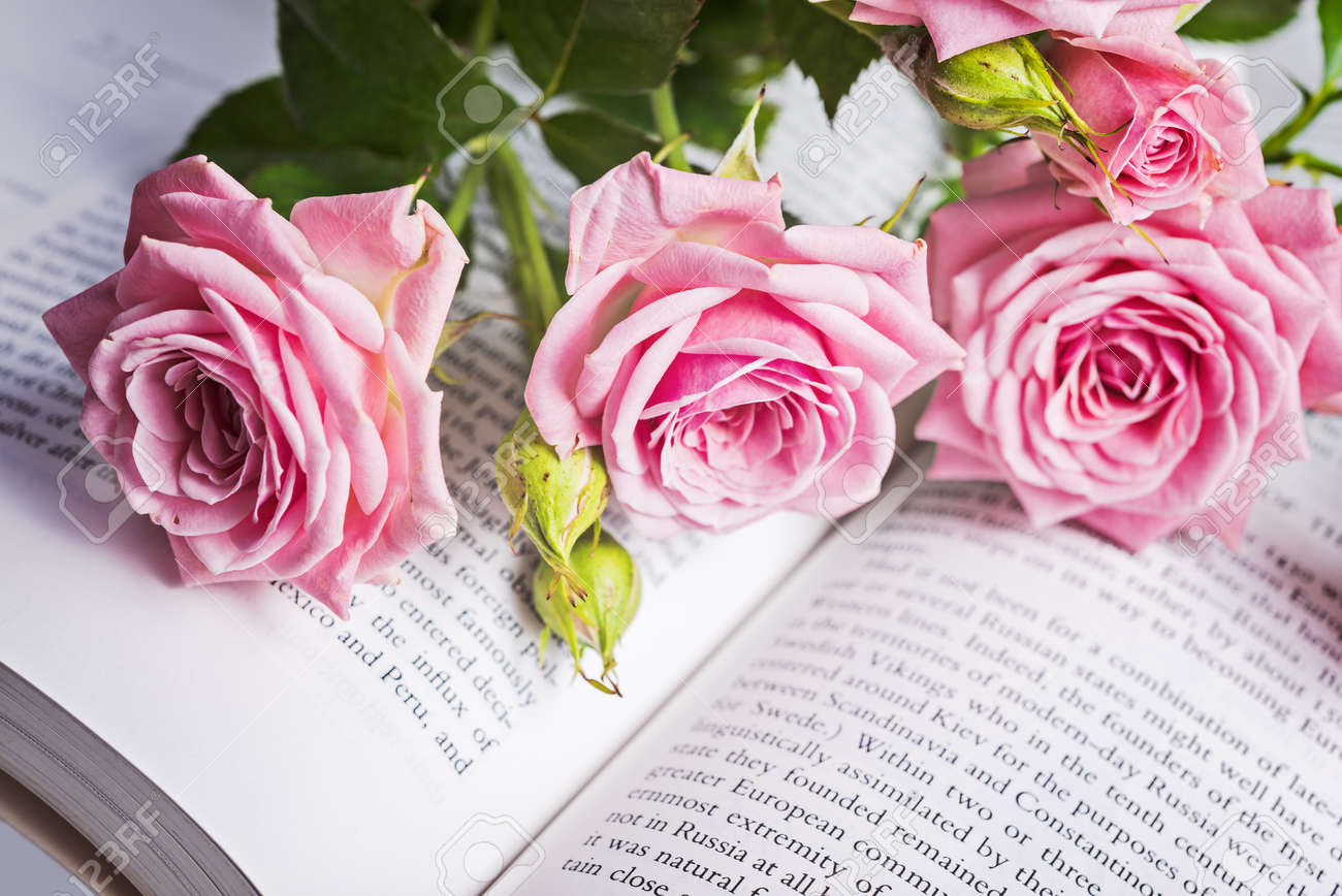 Resultado de imagem para salmos 46