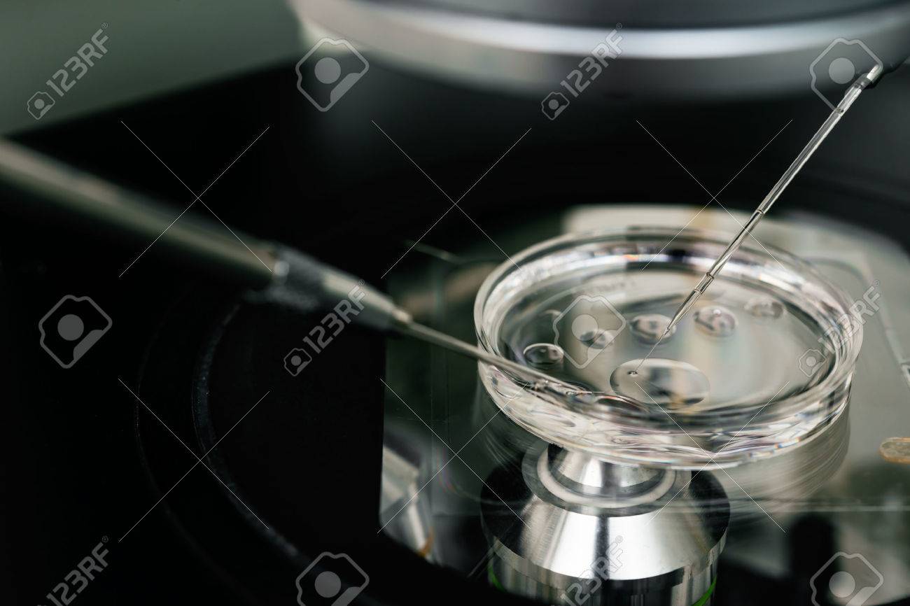 Mikroskop Fur Die In Vitro Fertilisation Prozess Aus Nachster Nahe Ausrustung Auf Labor Der Befruchtung Ivf High Tech Laborgerate Lizenzfreie Fotos Bilder Und Stock Fotografie Image 50923124