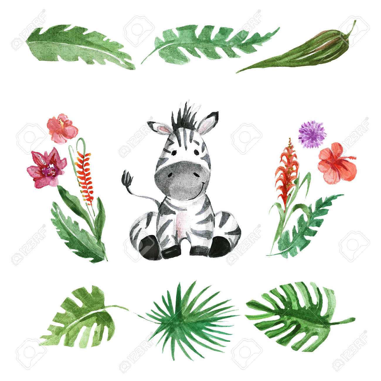 Cute baby Zebra Animal for kindergarten, nursery, children clothing, kids pattern, invitation, baby shower - 67279878 Cute baby Zebra Animal for kindergarten, nursery, children clothing, kids pattern, invitation, baby shower - 67279878