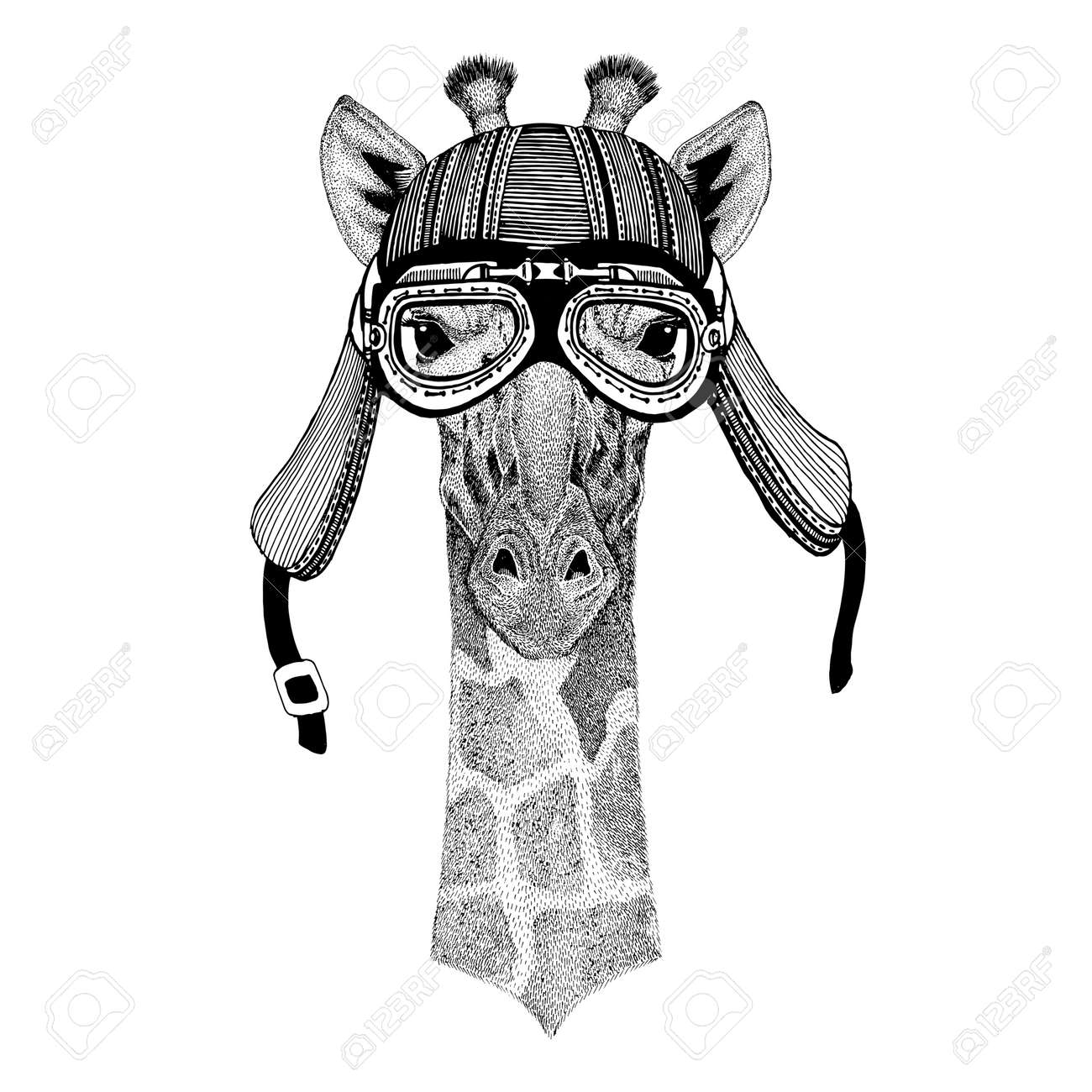 Camelopard, giraffe Hand drawn image of animal wearing motorcycle helmet for t-shirt, tattoo, emblem, badge, logo, patch - 76460748 Camelopard, giraffe Hand drawn image of animal wearing motorcycle helmet for t-shirt, tattoo, emblem, badge, logo, patch - 76460748