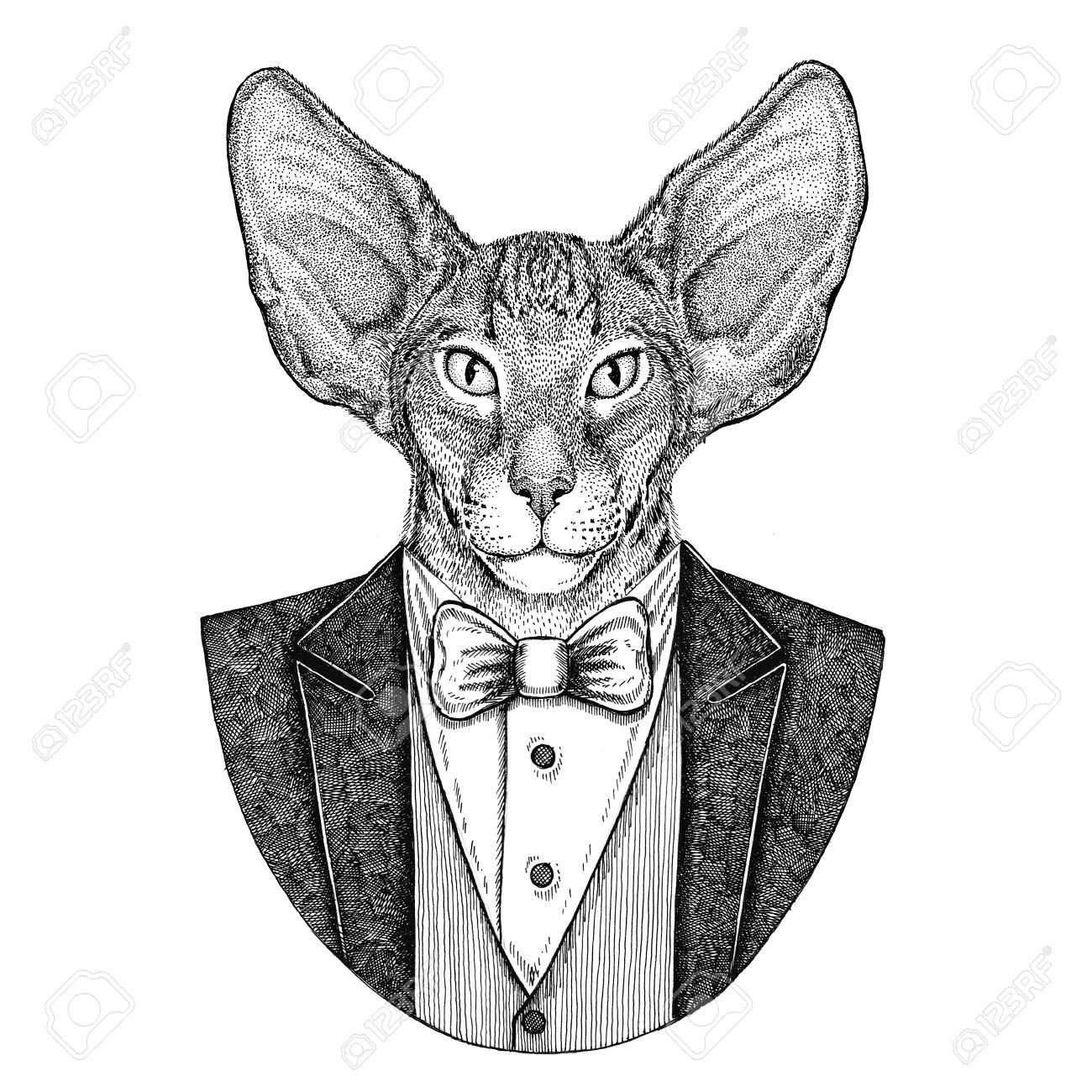 Chat Oriental Avec De Grandes Oreilles Animal Hipster Illustration Dessinee A La Main Pour Le Tatouage Embleme Insigne Logo Patch T Shirt Banque D Images Et Photos Libres De Droits Image