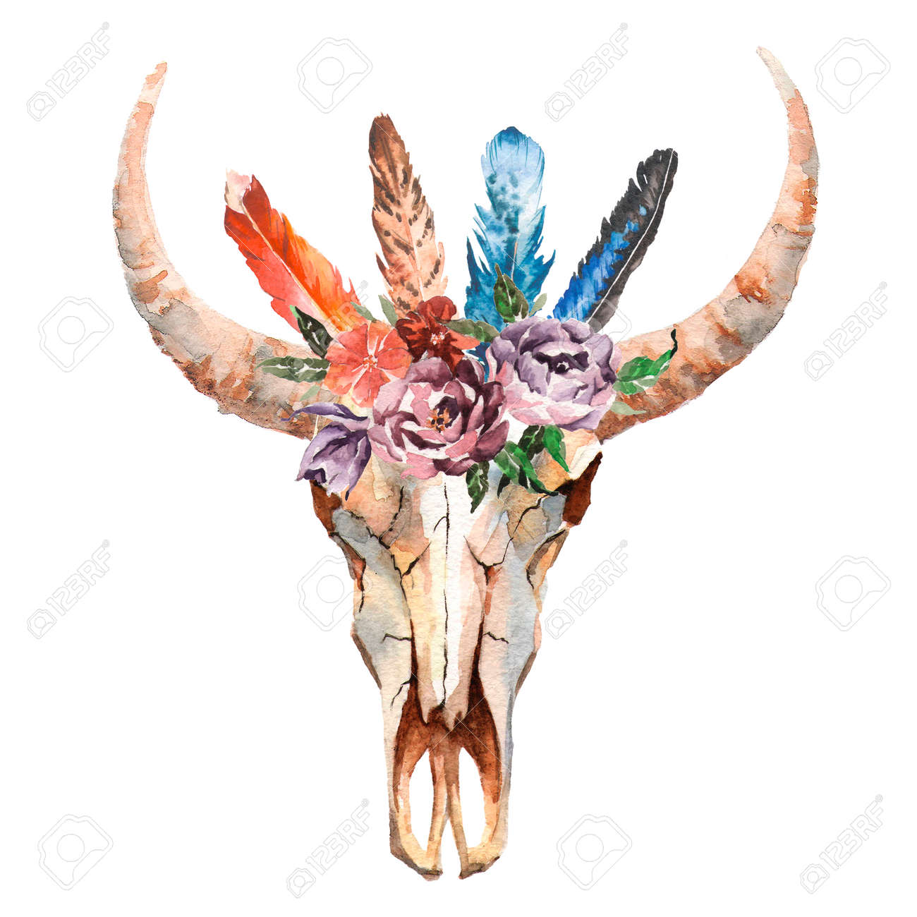 Watercolor isolated bulls head with flowers and feathers on white background. Boho style. Skull for wrapping, wallpaper, t-shirts, textile, posters, cards, prints - 80559837 Watercolor isolated bulls head with flowers and feathers on white background. Boho style. Skull for wrapping, wallpaper, t-shirts, textile, posters, cards, prints - 80559837
