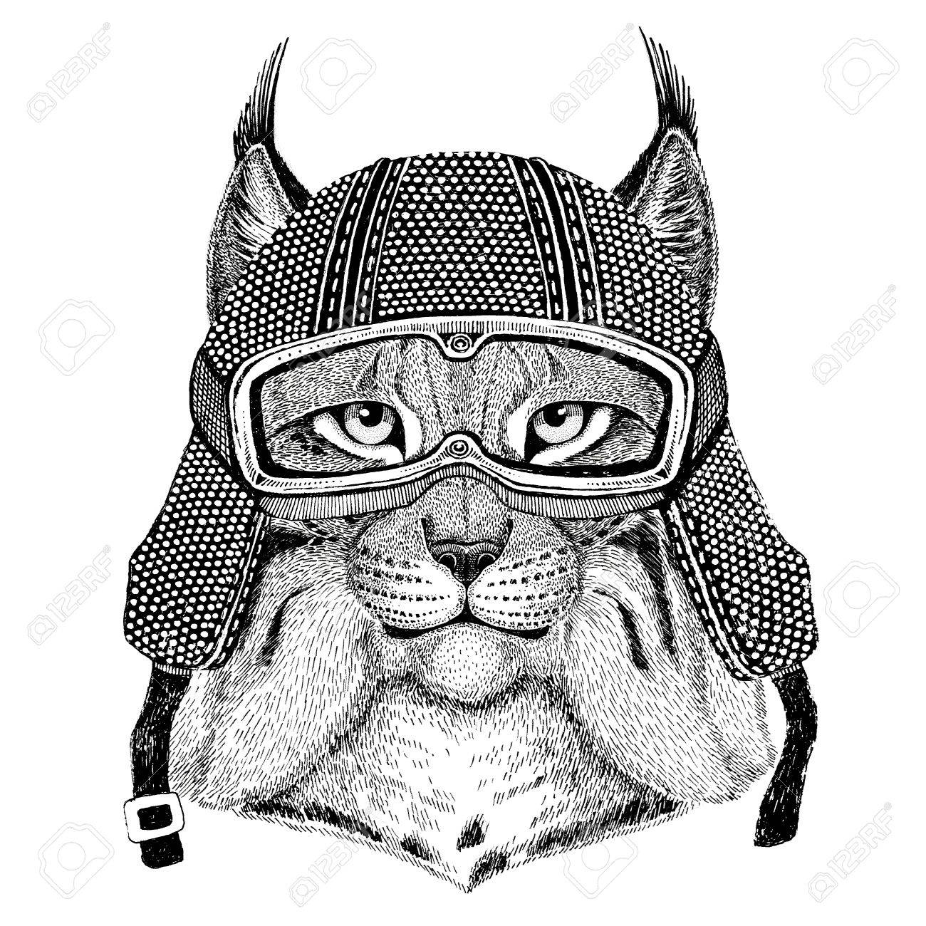Chat Sauvage Lynx Bobcat Trot Portant Un Casque De Moto Vintage Tattoo Badge Embleme Logo Patch T Shirt Banque D Images Et Photos Libres De Droits Image